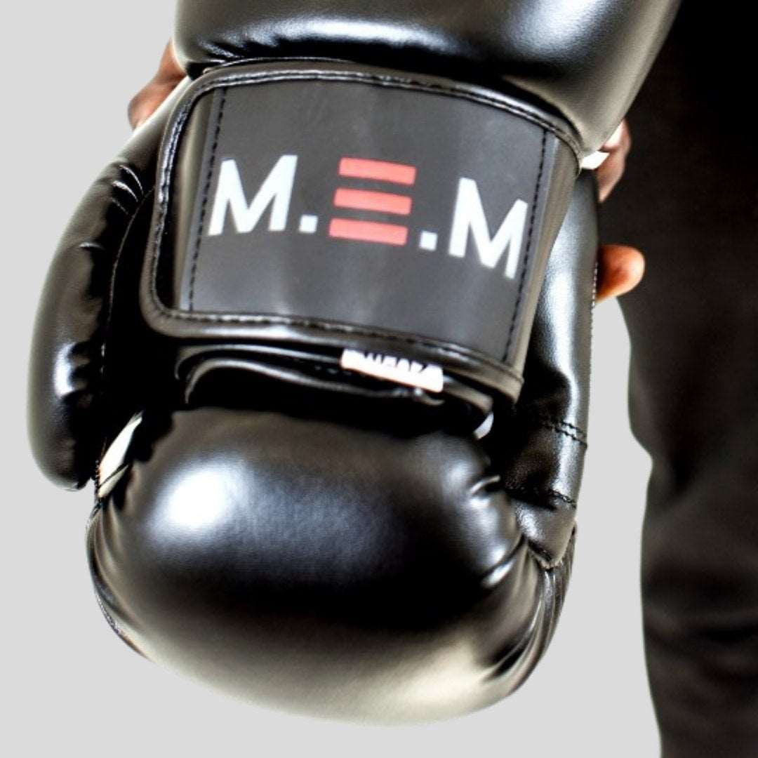 affordable boxing gloves